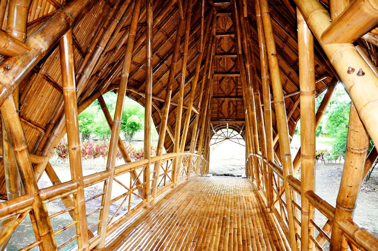 Hosteria Finca El Pigual Puyo Bagian luar foto